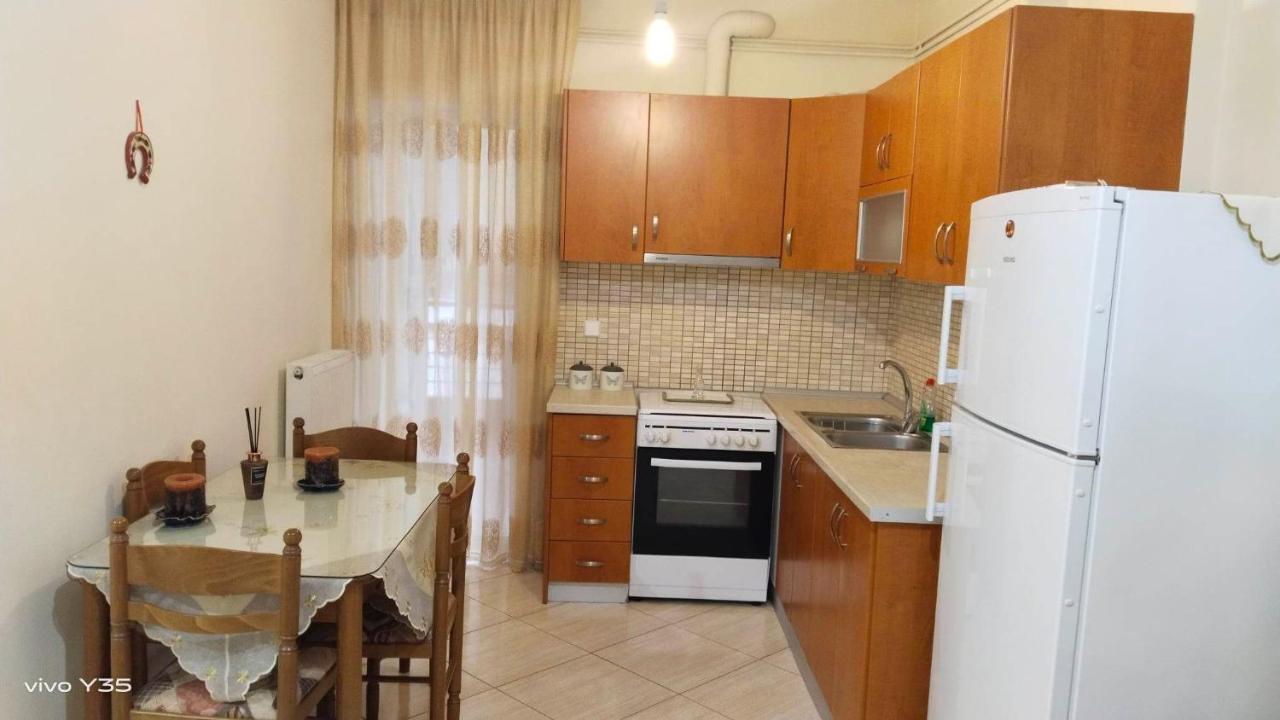 Ομορφο Διαμερισμα Στο Κεντρο Της Πολης Με Παρκιν Daire Tríkala Dış mekan fotoğraf